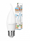Лампа светодиодная E27 WFC37-10 Вт-230 В -6500 К–E27 (свеча на ветру) Народная, белый холодный свет/ E27/ SQ0340-1603, TDM